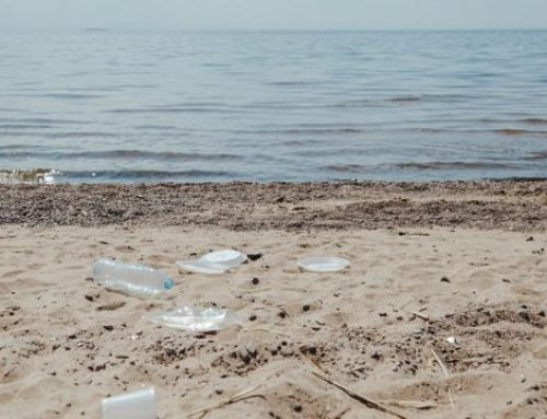 Inquinamento marino: cause, curiosità e rimedi